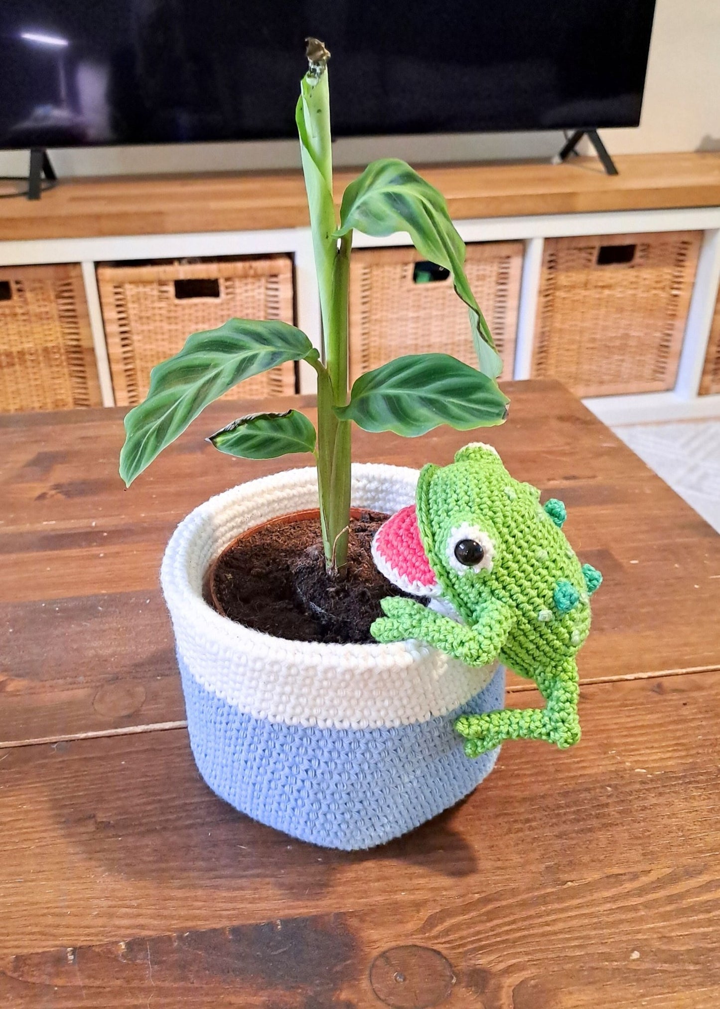 Frog Hanging Planter Crochet Pattern - Cute Frog Amigurumi Plant Holder - PDF Download - Crochet on a tree