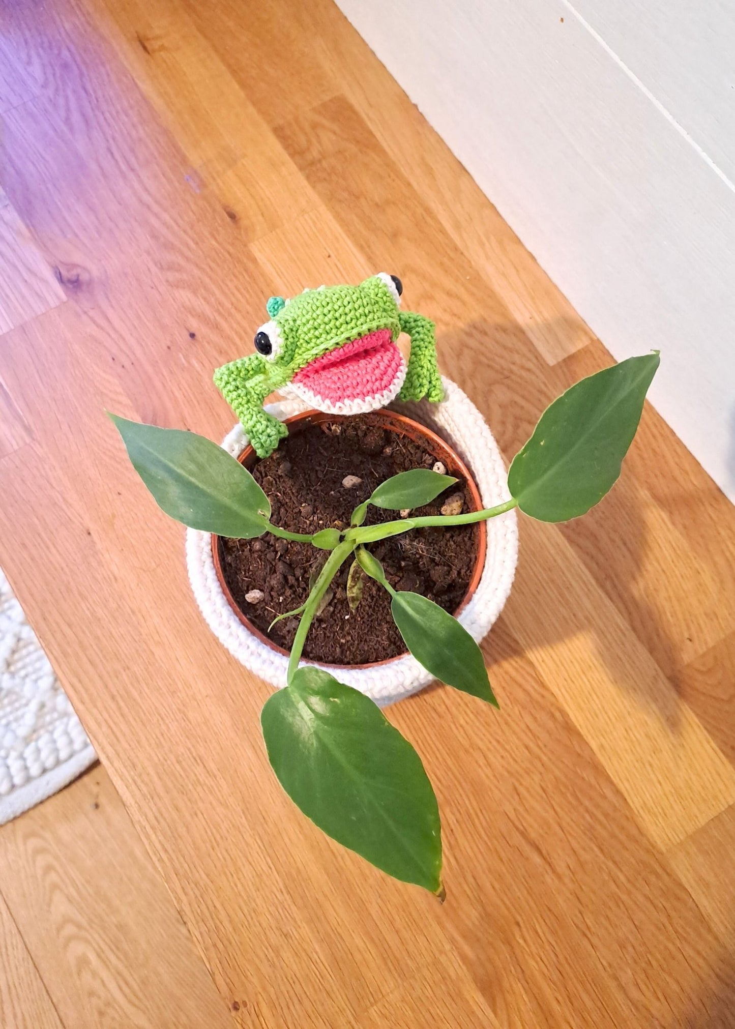 Frog Hanging Planter Crochet Pattern - Cute Frog Amigurumi Plant Holder - PDF Download - Crochet on a tree